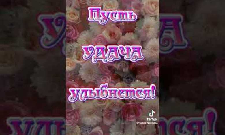 15 ноября 2023 г. 15 ноября 2023 г.