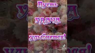 15 ноября 2023 г. 15 ноября 2023 г.