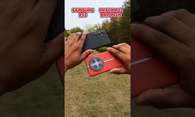 Samsung F55 5g vs Realme 12 pro plus camera test Samsung F55 5g vs Realme 12 pro plus camera test