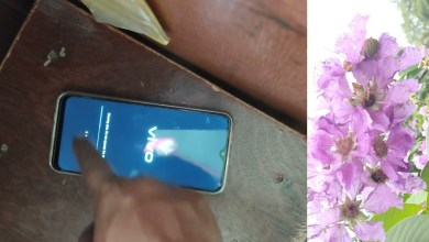 Vivo Y02 hard reset./ password patan reset without PC# Vivo Y02 hard reset./ password patan reset without PC#