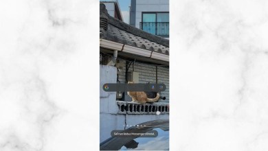 Two Ways to Duplicate Messenger Apps Two Ways to Duplicate Messenger Apps