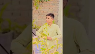 yar dil da paka video shot Samsung Galaxy s23 and yar dil da paka video shot Samsung Galaxy s23 and