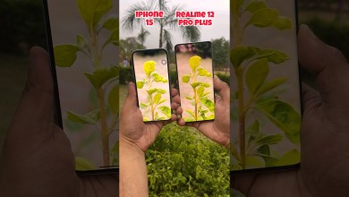 Iphone 15 vs Realme 12 pro plus Camera Test #shorts Iphone 15 vs Realme 12 pro plus Camera Test #shorts