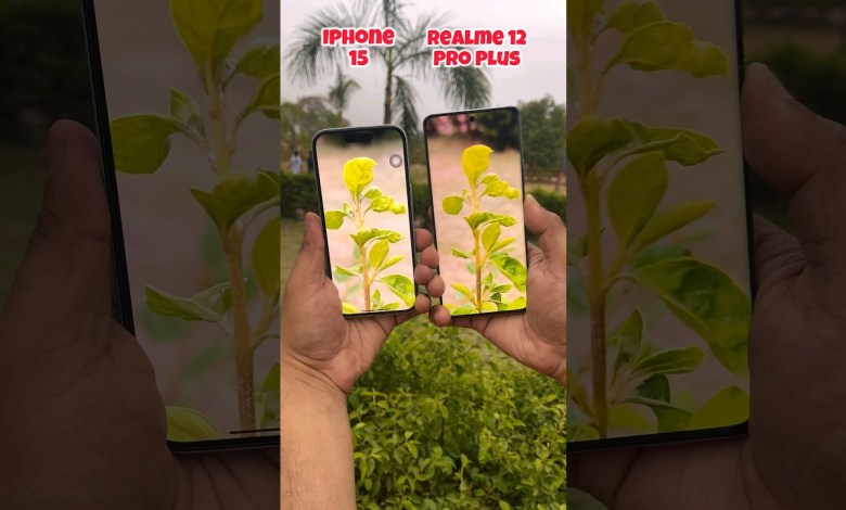 Iphone 15 vs Realme 12 pro plus Camera Test #shorts Iphone 15 vs Realme 12 pro plus Camera Test #shorts