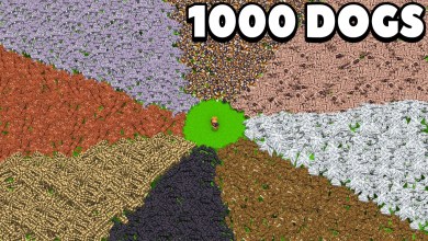 I Collected 1000 of Every Wolf Breed in Minecraft I Collected 1000 of Every Wolf Breed in Minecraft