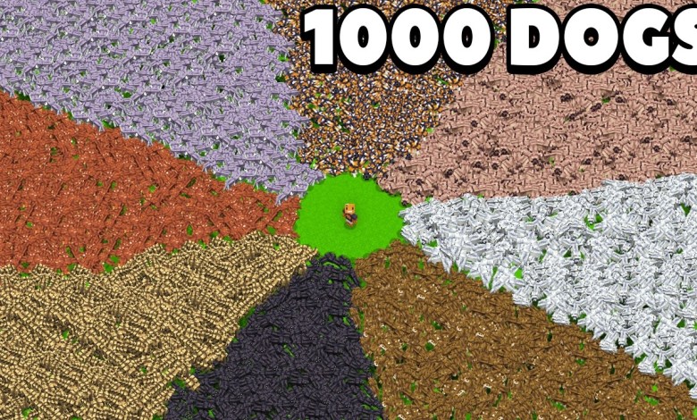I Collected 1000 of Every Wolf Breed in Minecraft I Collected 1000 of Every Wolf Breed in Minecraft