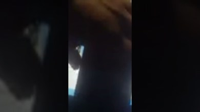 تخطى حساب جوجل شاومى ريدمىMIUI 9 12.5 FRP xiaomi Redmi9 تخطى حساب جوجل شاومى ريدمىMIUI 9 12.5 FRP xiaomi Redmi9