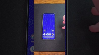 Put Any Android Device in Lockdown Mode if Questioned Put Any Android Device in Lockdown Mode if Questioned