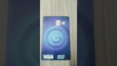 11 June 2024 11 June 2024