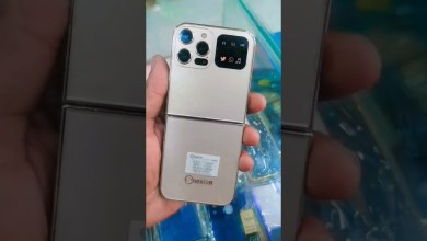 20 December 2023 20 December 2023