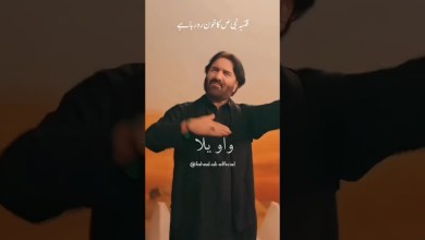 New Noha 2024 #muharram2024 New Noha 2024 #muharram2024