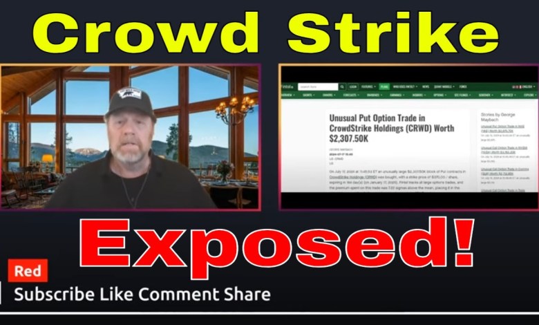 WTF? The REAL REASON For The WORLDWIDE CrowdStrike WTF? The REAL REASON For The WORLDWIDE CrowdStrike
