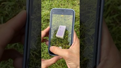 iPhone 11 Purple Camera Test iPhone 11 Purple Camera Test