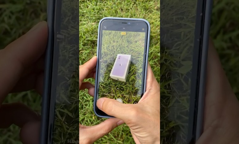 iPhone 11 Purple Camera Test iPhone 11 Purple Camera Test