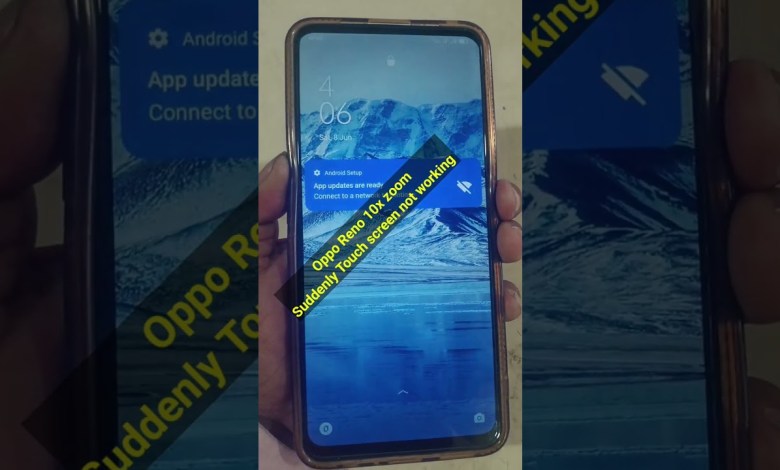 Oppo Reno 10x Zoom Touch screen not working Oppo Reno 10x Zoom Touch screen not working