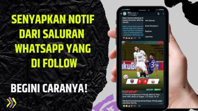 How to Disable Whatsapp Channel Notifications How to Disable Whatsapp Channel Notifications