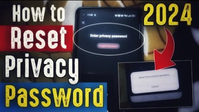 How to Reset Privacy Password in 2024 ? by tricker amit How to Reset Privacy Password in 2024 ? by tricker amit