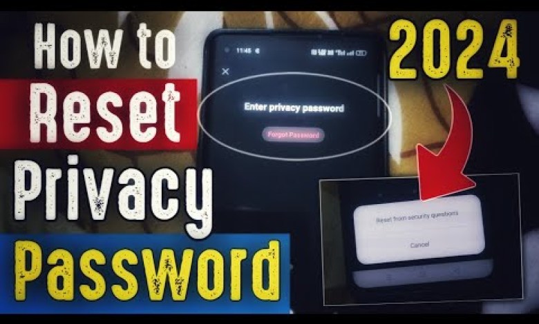 How to Reset Privacy Password in 2024 ? by tricker amit How to Reset Privacy Password in 2024 ? by tricker amit