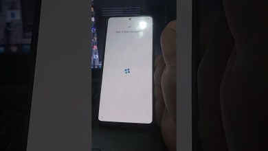 16 July 2024 16 July 2024