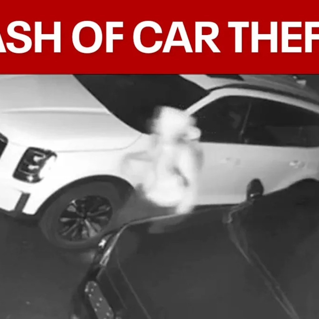 Delaware County Viertel auf Alarm nach dem Ausschlag von Autodiebstählen Delaware County Viertel auf Alarm nach dem Ausschlag von Autodiebstählen