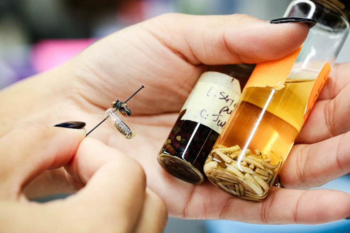 Fehler zur Verbrechensaufklärung? Neue Technologien haben große Ambitionen. Fehler zur Verbrechensaufklärung? Neue Technologien haben große Ambitionen.