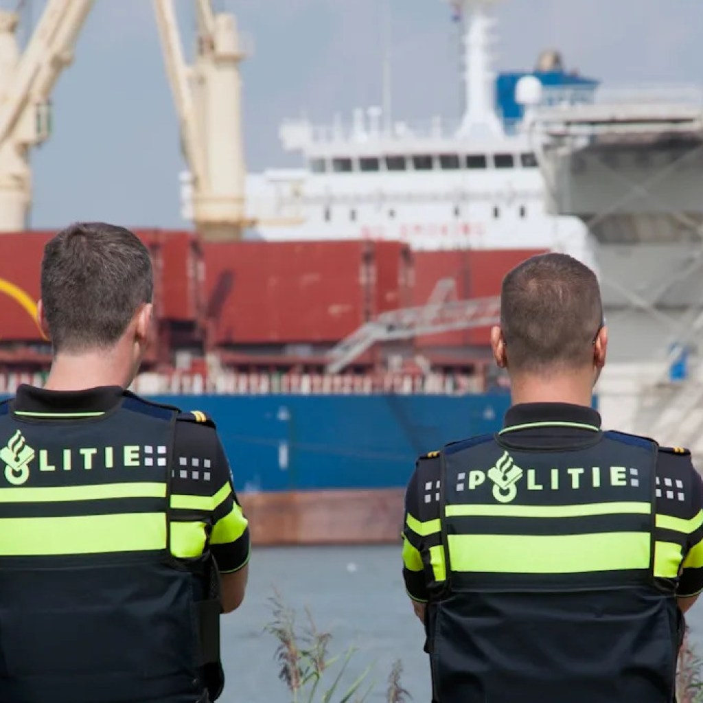 ‚Lo que estamos viendo es solo la punta del iceberg‘ ‚Lo que estamos viendo es solo la punta del iceberg‘