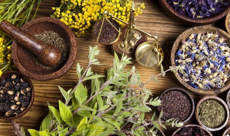 Uzmanı uyardı: Bilinçsizce toplanan otlar şifa değil zehir olabilir! Uzmanı uyardı: Bilinçsizce toplanan otlar şifa değil zehir olabilir!