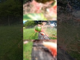 A little redneck science with IV8888 A little redneck science with IV8888