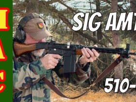 Sig AMT 510-4 – Roller Delays aren’t quite dead yet. Sig AMT 510-4 – Roller Delays aren’t quite dead yet.