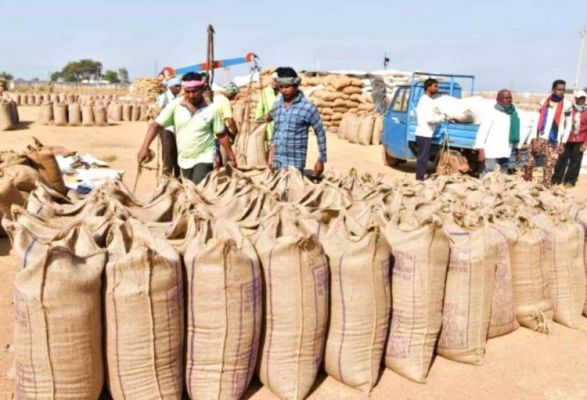 छत्तीसगढ़ में अब तक 35.53 लाख मीट्रिक टन धान की हुई खरीदी छत्तीसगढ़ में अब तक 35.53 लाख मीट्रिक टन धान की हुई खरीदी