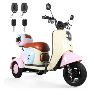 Bicicleta Eléctrica De Tres Ruedas Para Adultos Honey Whale Bicicleta Eléctrica De Tres Ruedas Para Adultos Honey Whale