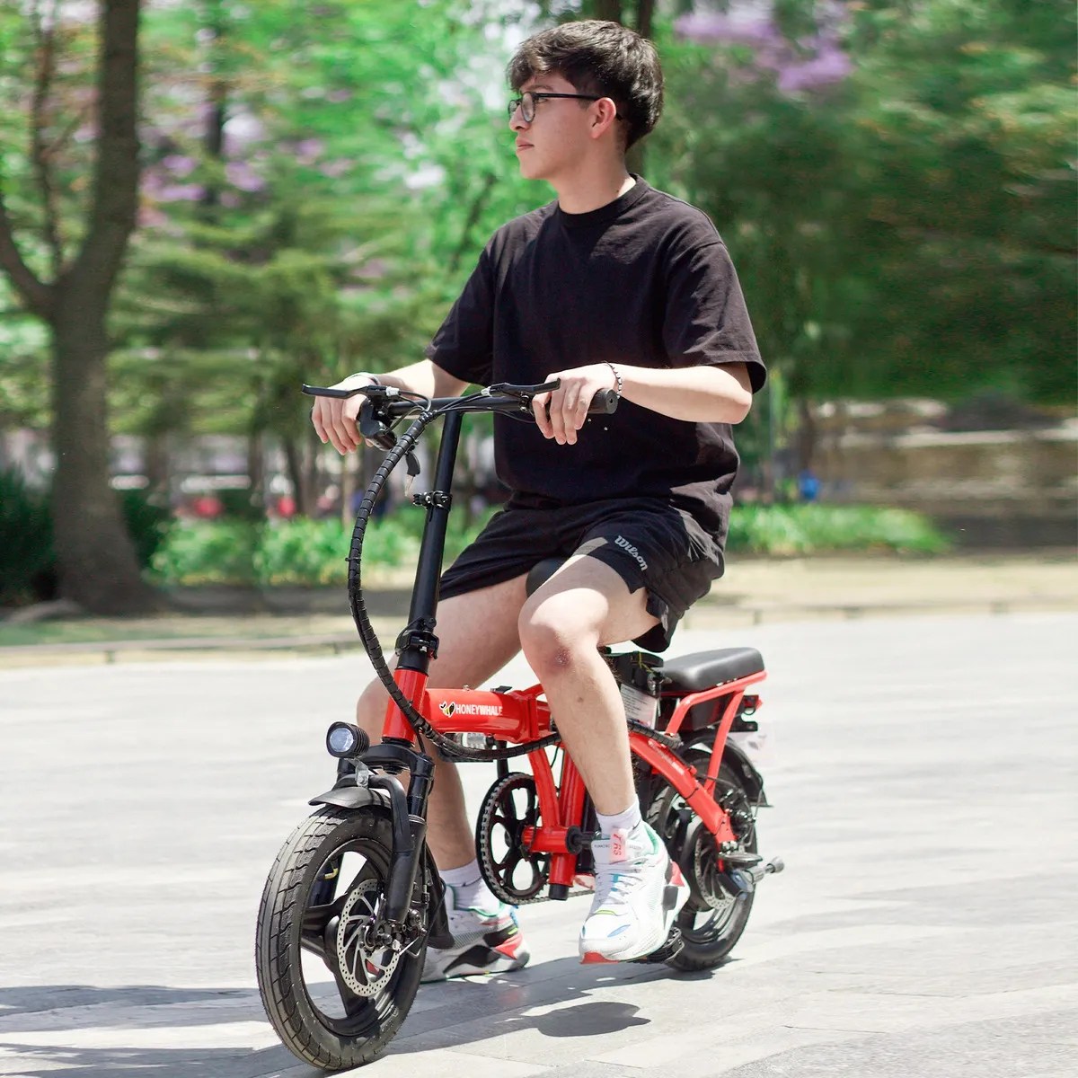 Bicicleta Eléctrica Plegable Honey Whale S6 600w 35km/h S6 ROJO