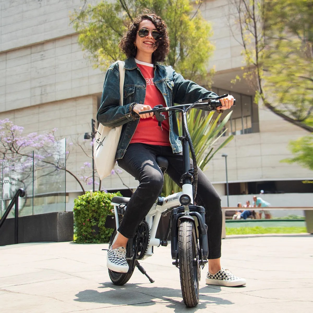Bicicleta Eléctrica Plegable Honey Whale S6 600w 35km/h S6 BLANCO