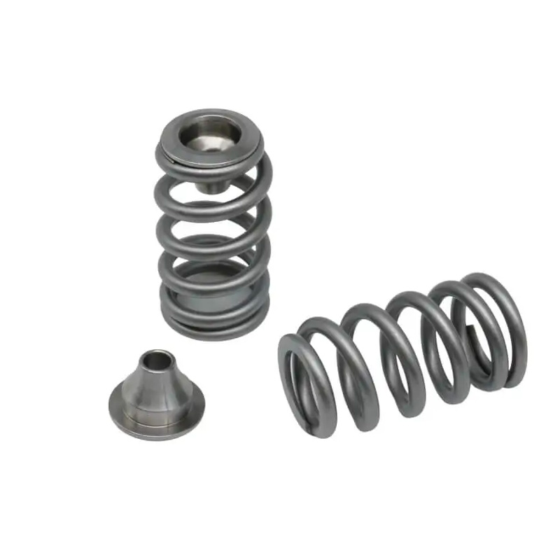 Kelford Rotax 900 ACE Can-AmSeadoo spring and Titanium retainer set