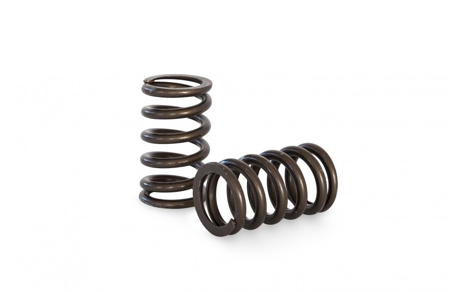 Kelford NISSAN RB26 HIGH PERFORMANCE SPRING SET