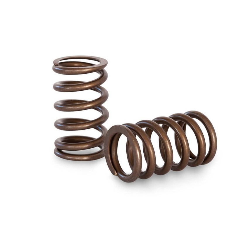 Kelford TOYOTA 1G-GTE RACING VALVE SPRING SET