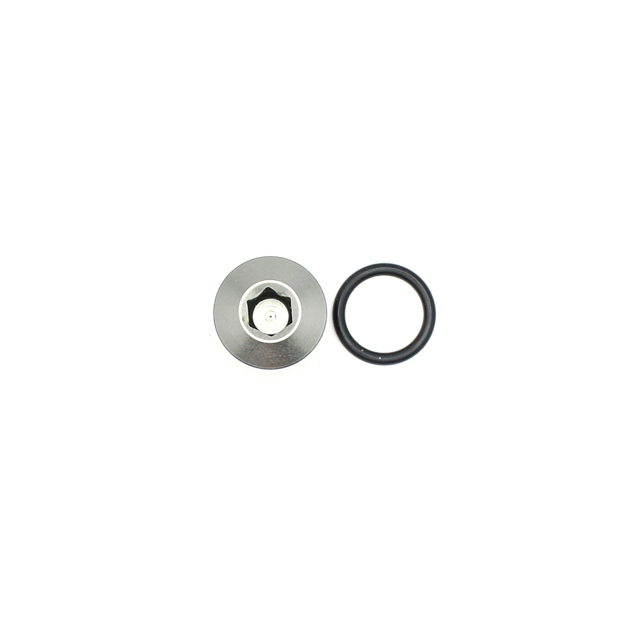DW 6AN ORB Male Plug  Low Profile Internal Allen Hex incl O
