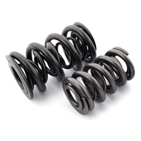 Ferrea Single Valve Spring Special Alloy Hyundai Genesis V6