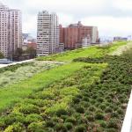 Build Green Rooftop Garden Easily Build Green Rooftop Garden Easily