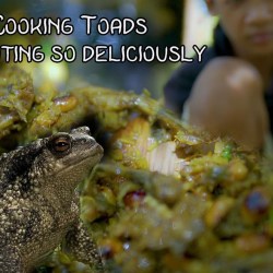 Resep Masak Kodok yang Menggugah Selera: Panduan Komprehensif Resep Masak Kodok yang Menggugah Selera: Panduan Komprehensif