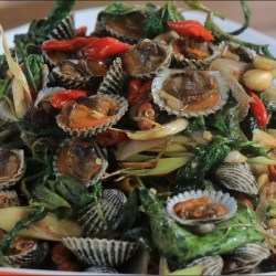 Resep Kerang Dara Bumbu Kuning: Kuliner Lezat dari Lautan Resep Kerang Dara Bumbu Kuning: Kuliner Lezat dari Lautan