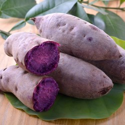 Resep Makanan dari Umbi Umbian Kentang: Kuliner Lezat dan Bernutrisi Resep Makanan dari Umbi Umbian Kentang: Kuliner Lezat dan Bernutrisi