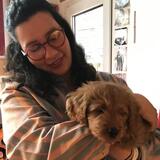 Zoraya bietet Hundesitting, Katzensitting in Köln Nippes (Nordrhein-Westfalen) an Zoraya bietet Hundesitting, Katzensitting in Köln Nippes (Nordrhein-Westfalen) an