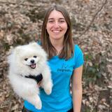 Dogroots bietet Hundesitting, Pferdebetreuung in Heidelberg Weststadt (Baden-Württemberg) an Dogroots bietet Hundesitting, Pferdebetreuung in Heidelberg Weststadt (Baden-Württemberg) an
