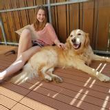 Marina bietet Hundesitting, Katzensitting in München Bogenhausen (Bayern) an Marina bietet Hundesitting, Katzensitting in München Bogenhausen (Bayern) an
