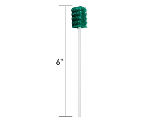 Premium Dentrifice Treated & Untreated Oral Swabs, Disposable Oral Care Swabsticks 250 Count (Treated)