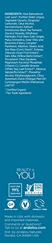 Andalou Naturals Acai + Kombucha Oil-Free Moisturizer, White Tea, 2.1 Fl Oz