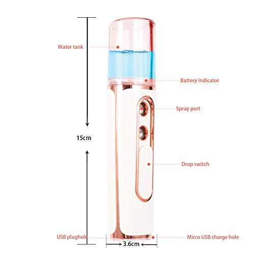 annhuabeauty Nano Facial Mister, Double Hole Portable Cool Mist Moisturizing Face Eye Lash Mister, Facial Sprayer for…