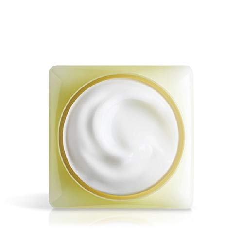 L’Occitane Citrus Verbena Sorbet Body Cream 8.8Oz