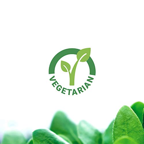 Life Extension Iron Protein Plus – Highly Absorbable Form of Irons Supplement for Red Blood Cell & Protein Production…